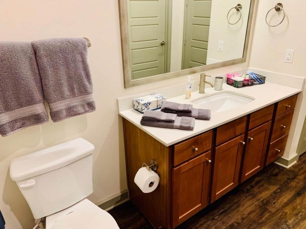 Downtown Apt Free Parking - Pool - Gym - Fully Kitchen Houston Exteriör bild