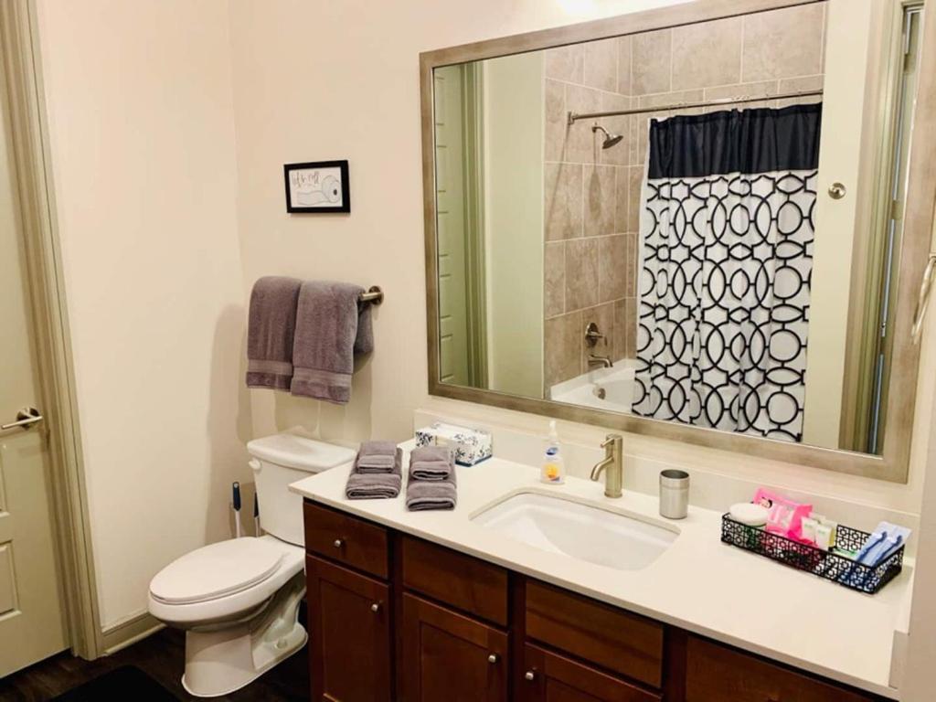 Downtown Apt Free Parking - Pool - Gym - Fully Kitchen Houston Exteriör bild